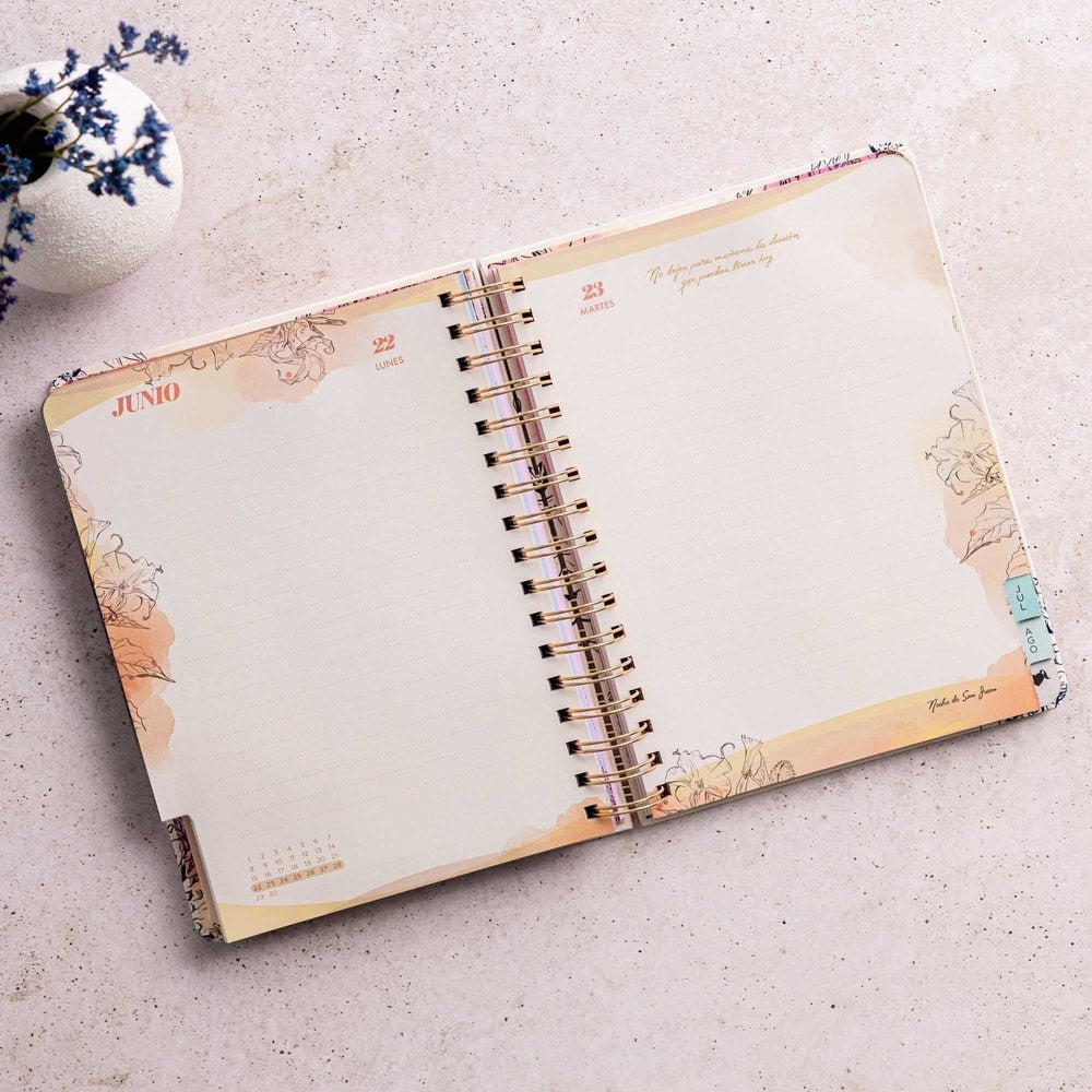 Agenda Escolar Diaria 2025-2026 LVR